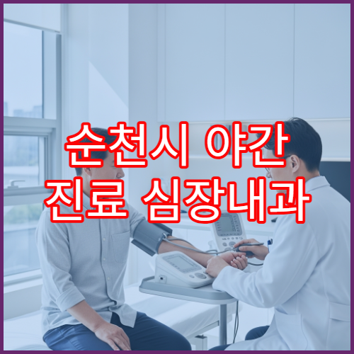 순천시 야간 진료 심장내과 병원 가슴통증·심장검사 상담 가능한 병원 정보
